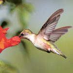 article image - 